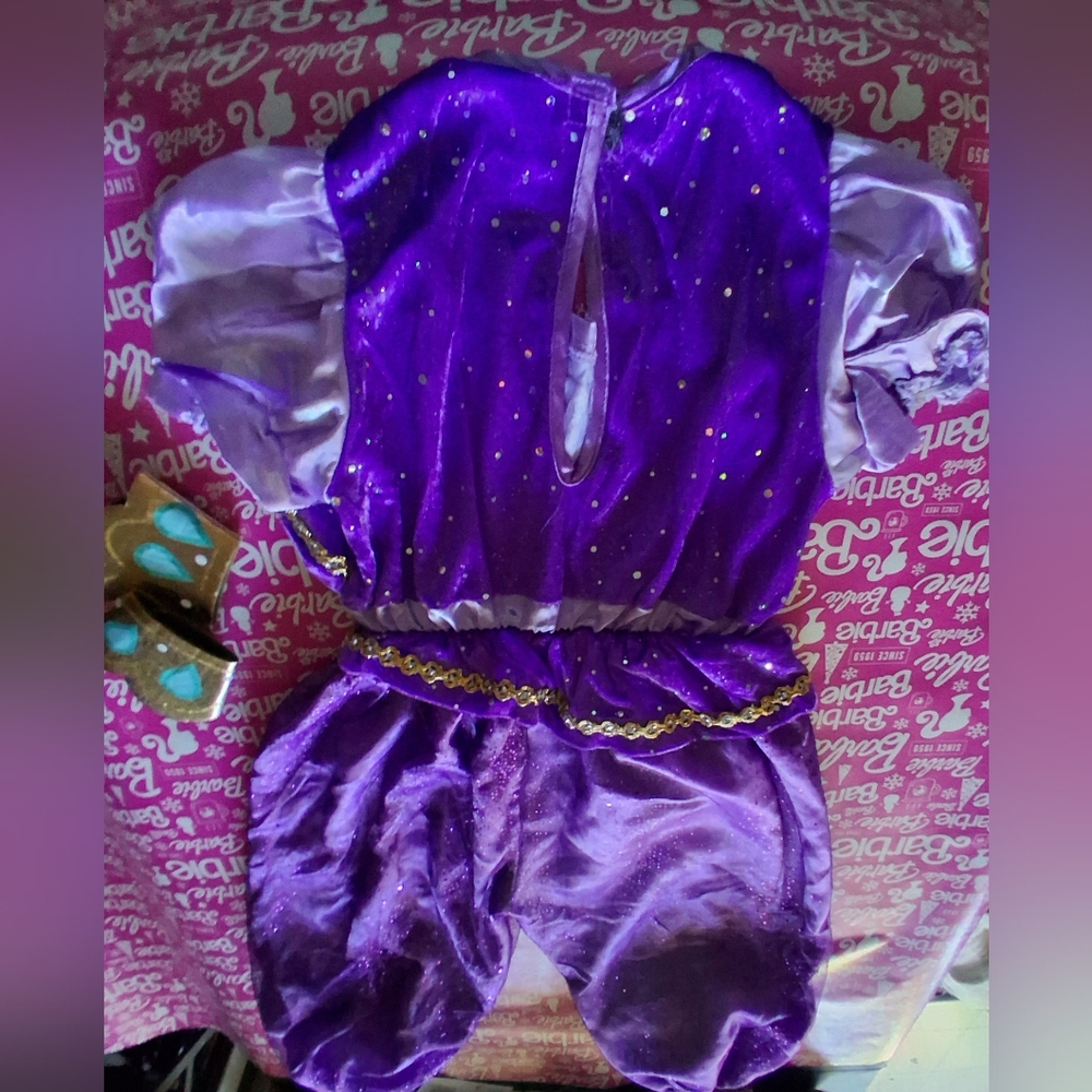 Nickelodeon SHIMMER Purple Gold GIRLS Costume Size 4-6T EUC - Picture 10 of 12